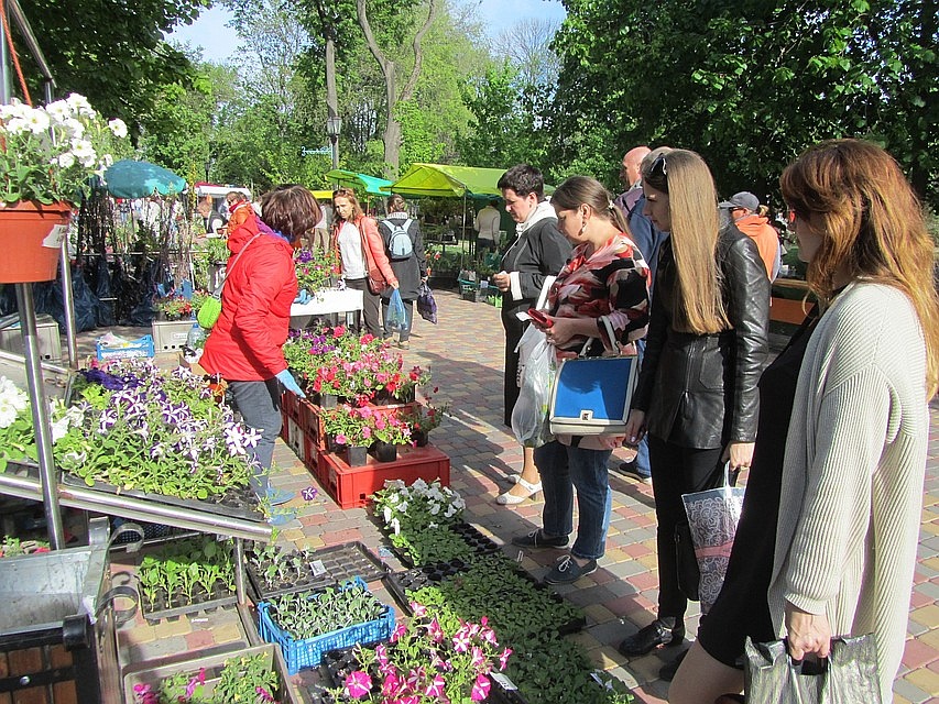 В Тамбове провели фестиваль цветов