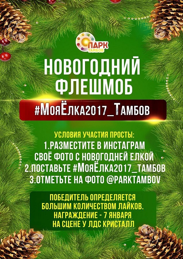 Новогодний флешмоб #МояЁлка2017_Тамбов