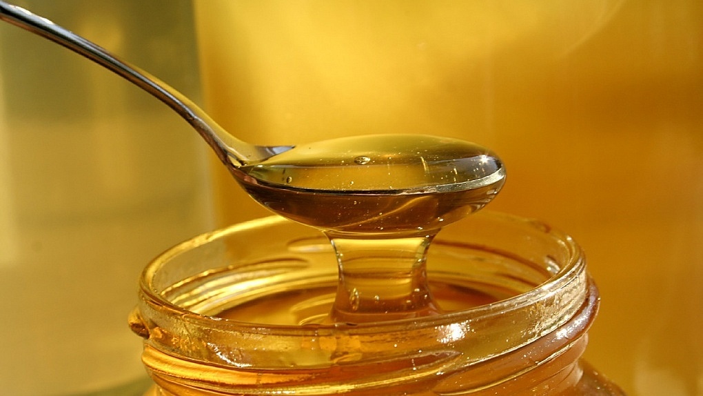 Цены на тамбовский мёд не выросли: в парке культуры стартовала ярмарка меда